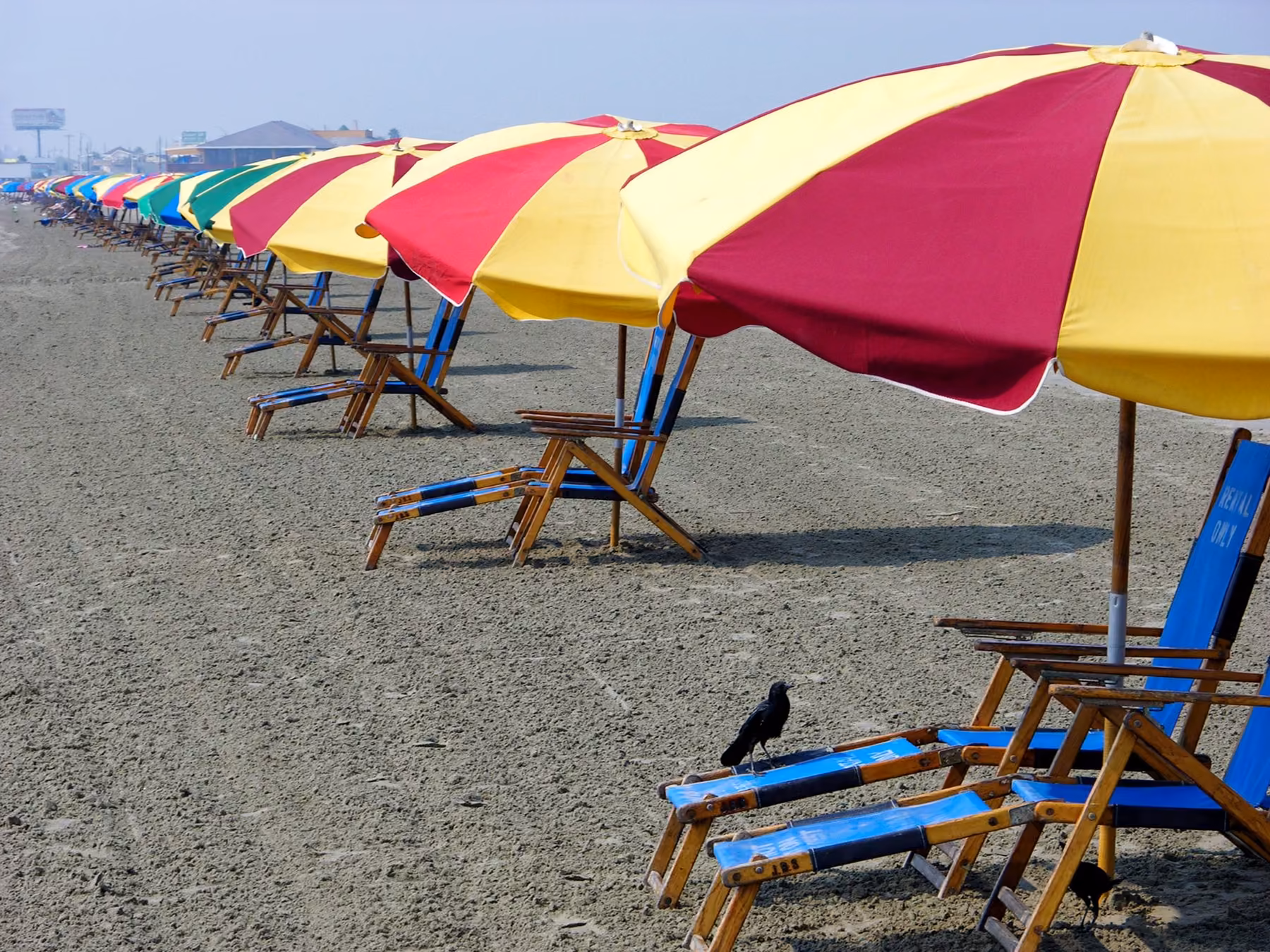 Colorful umbrellas along Galveston Seawall