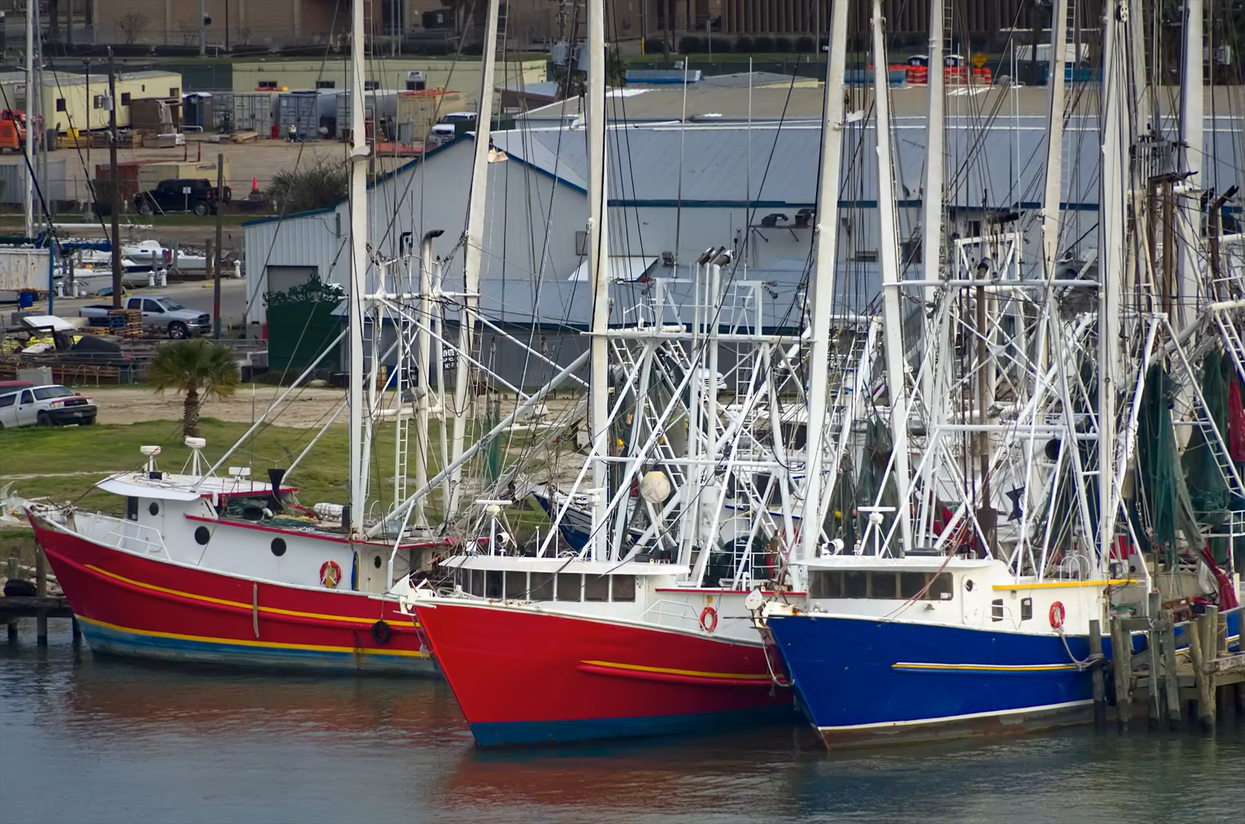 Shrimp boats tied up in Galveston’s working harbor