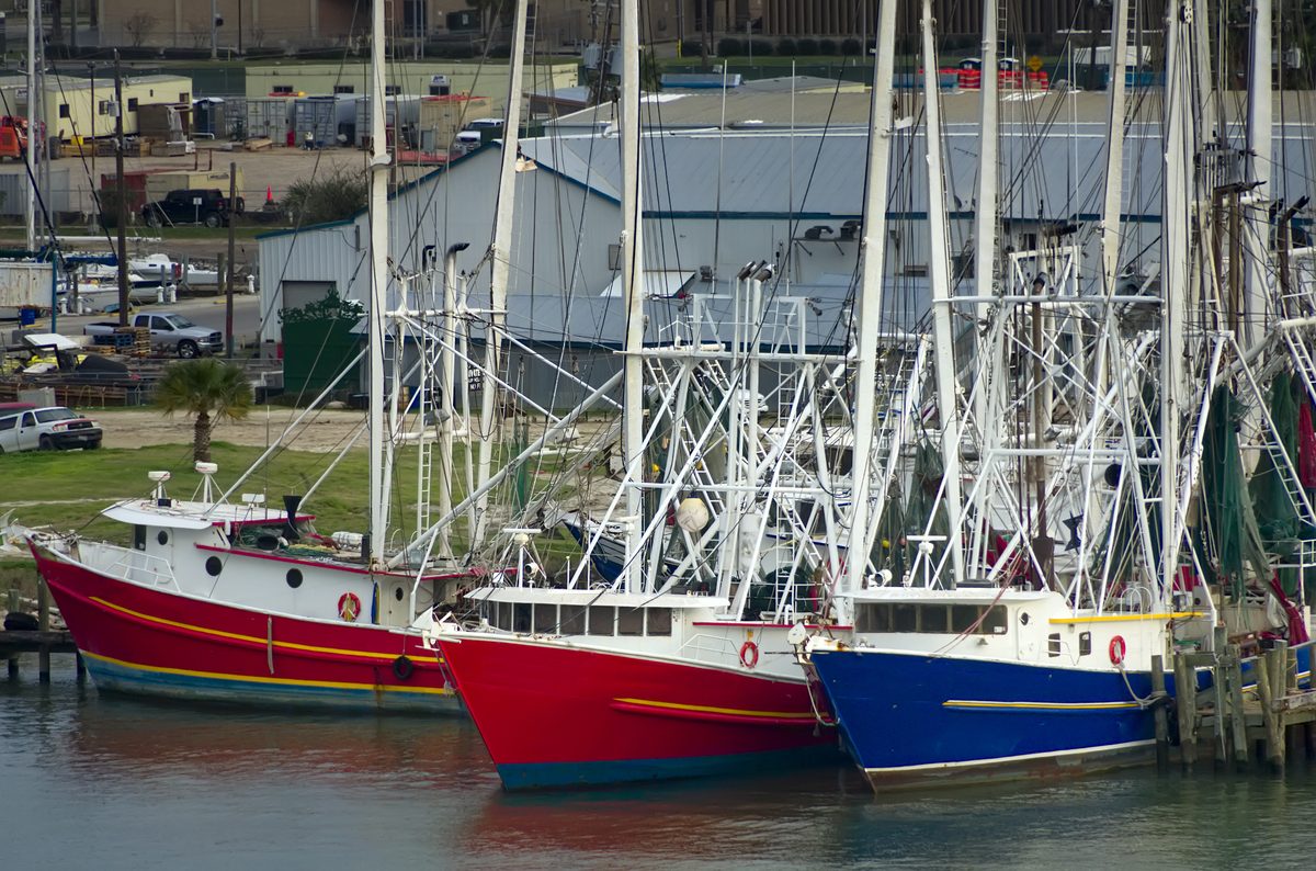 Shrimp boats tied up in Galveston's working harbor